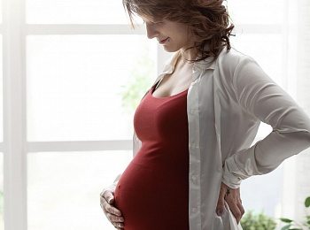 ФНПР предлагает пересмотреть методику расчета пособий по временной нетрудоспособности и в связи с материнством